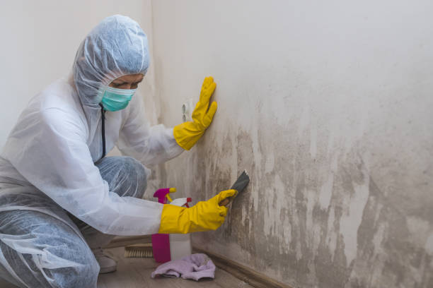 Norman, OK Mold Removal Company